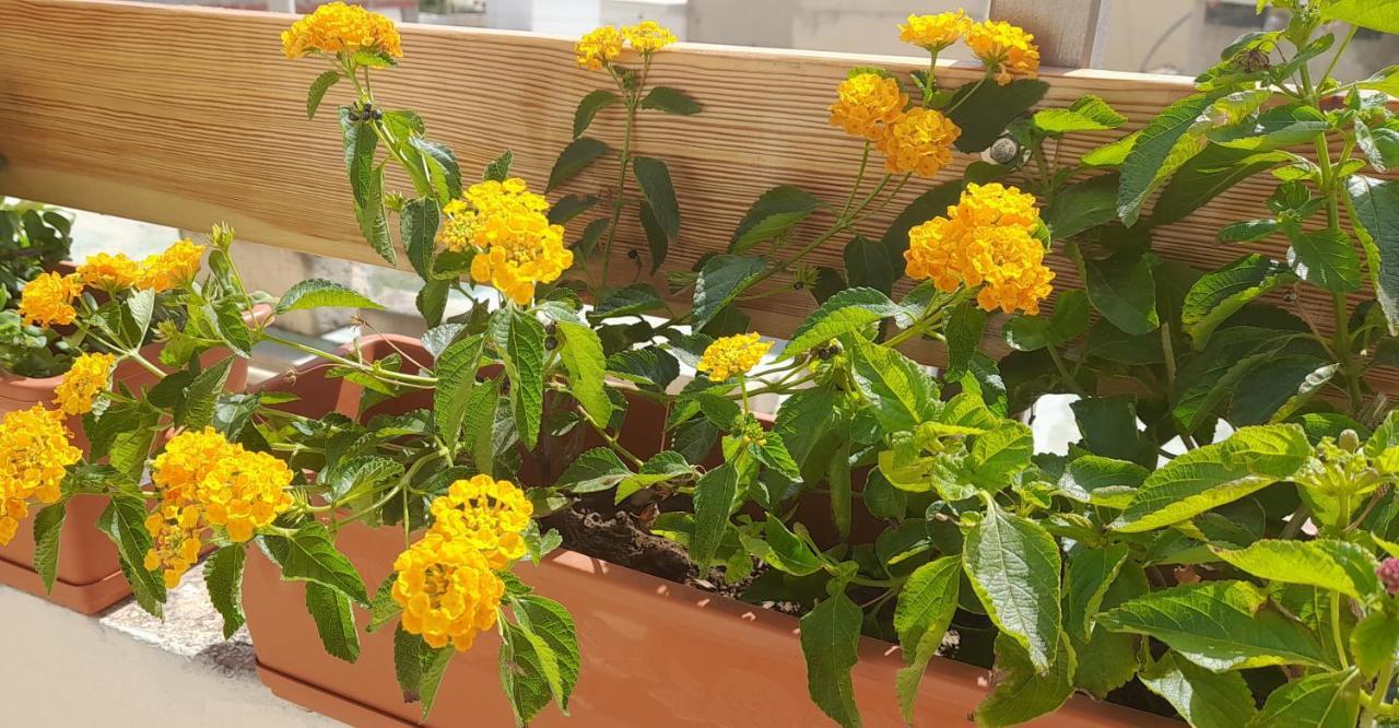 Apartment Ramzam - Spacious & Modern 3 Bedroom With Roof Terrace *